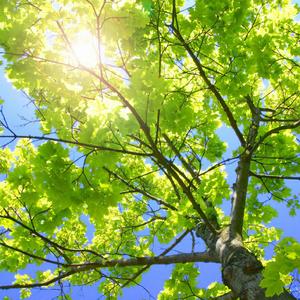 欧美大鸡吧挑战日本美女
